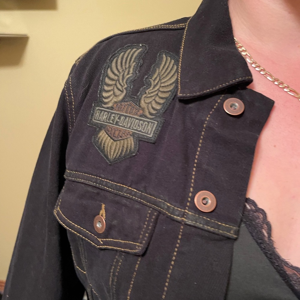 Harley Davidson Jean - Picture 3 of 5